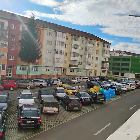 Apartament Acasa Hermannstadt Exterior foto
